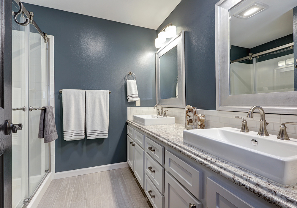 Bathroom Renovation and Remodeling